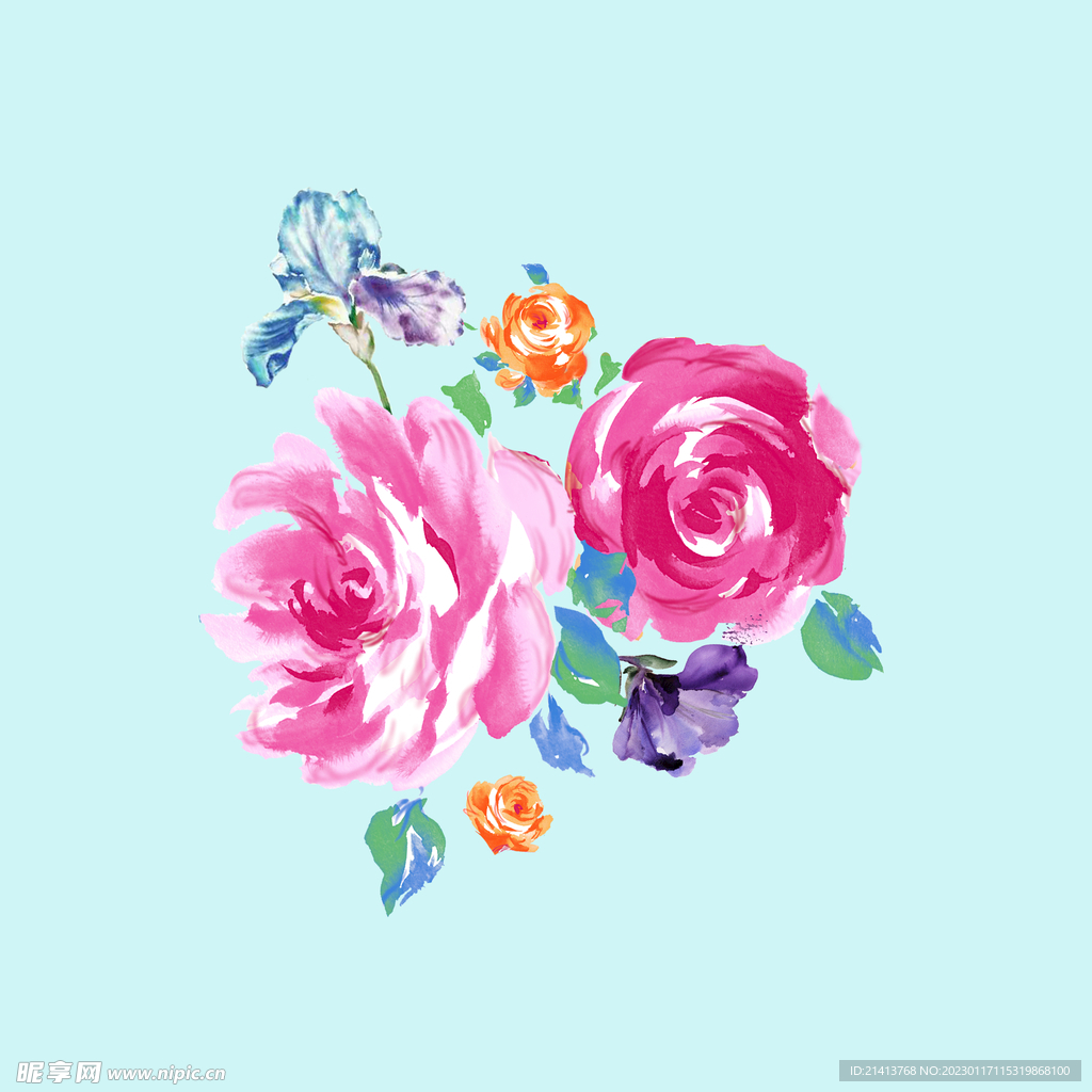 手绘水彩月季 