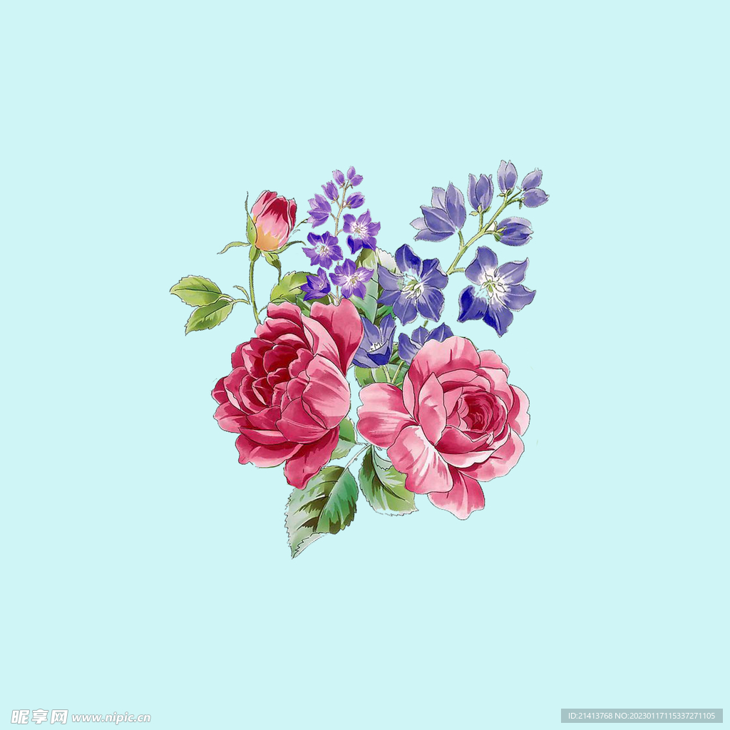手绘水彩月季 