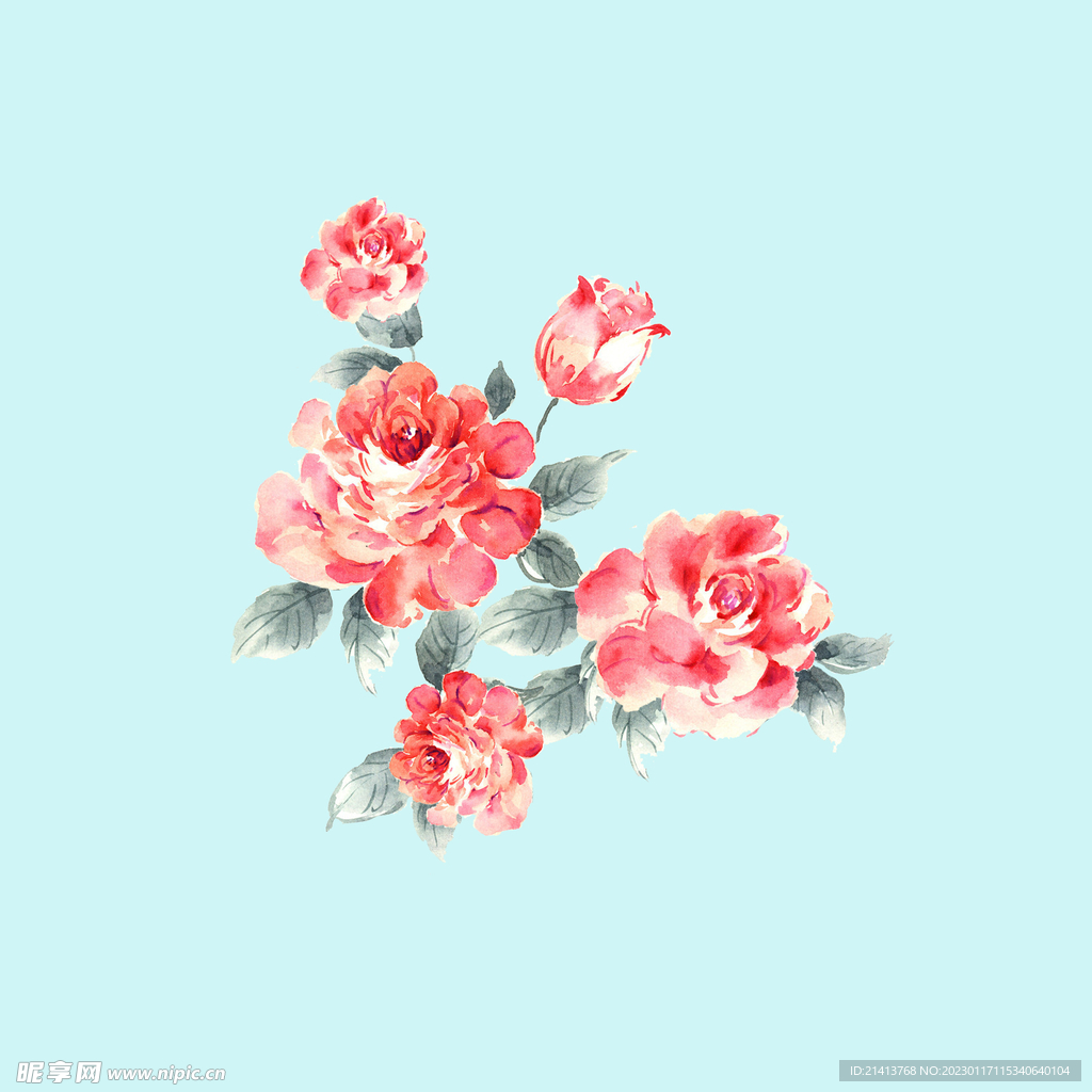 手绘水彩月季 