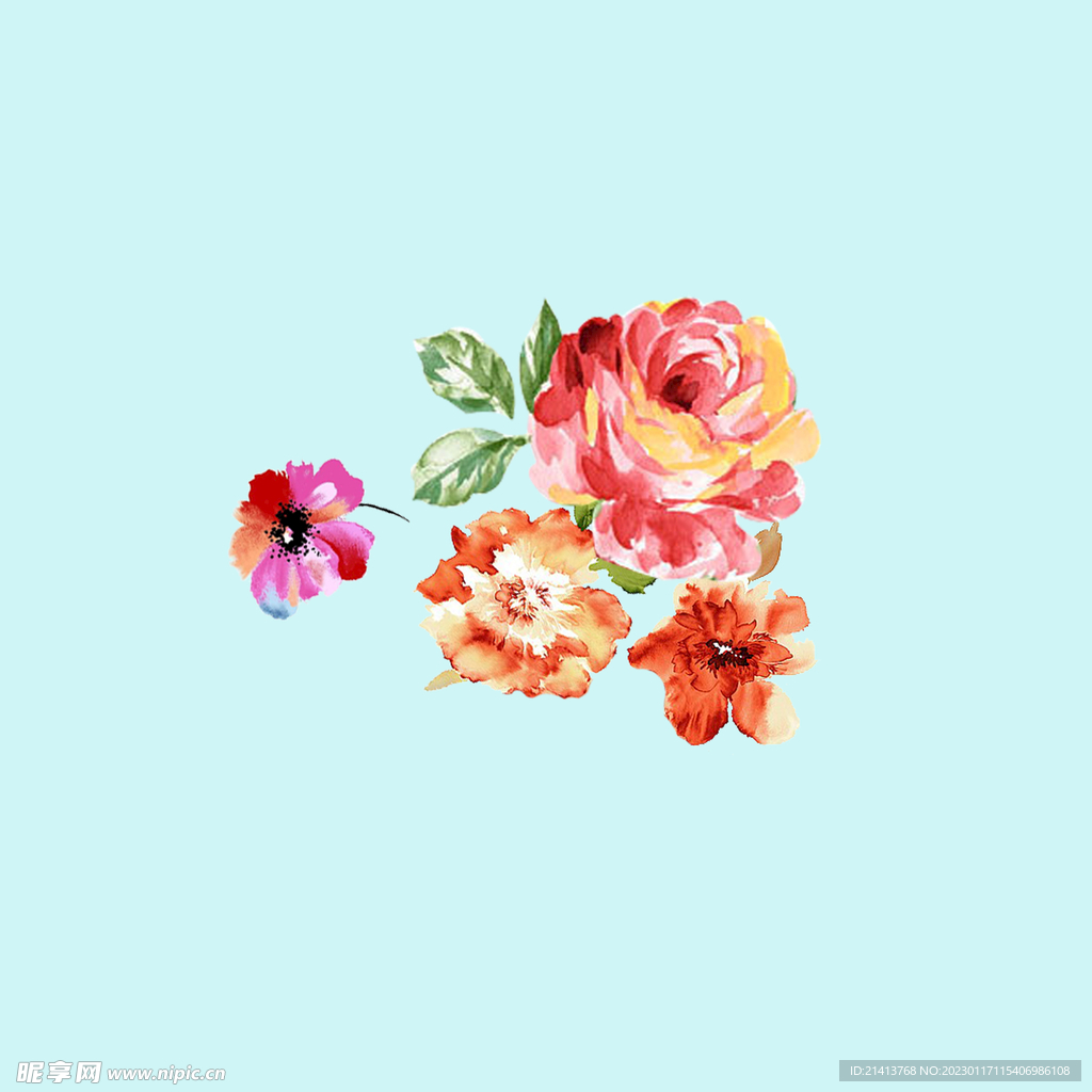 手绘水彩月季
