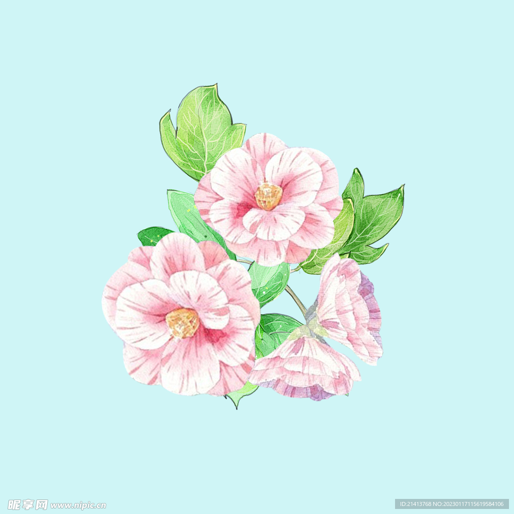 手绘水彩花卉 