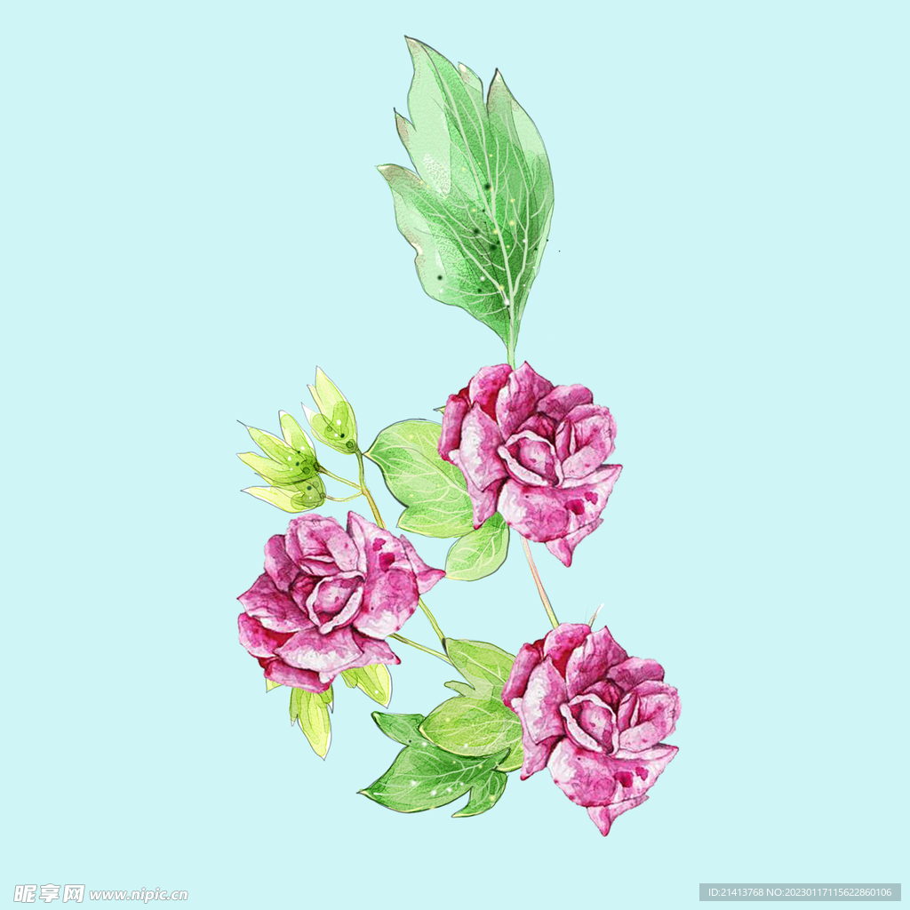 手绘水彩花卉 