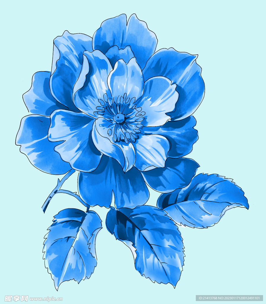 手绘水彩花卉 