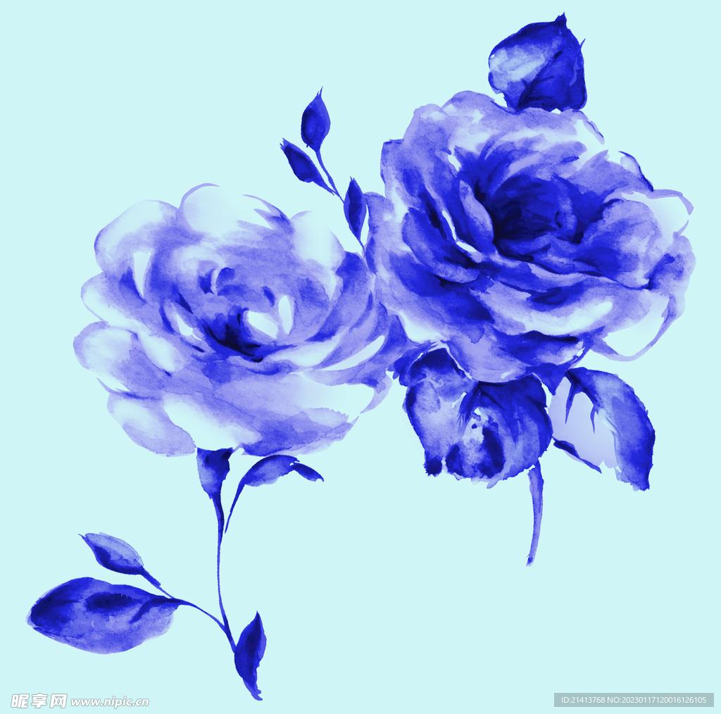 玫瑰花朵花卉 