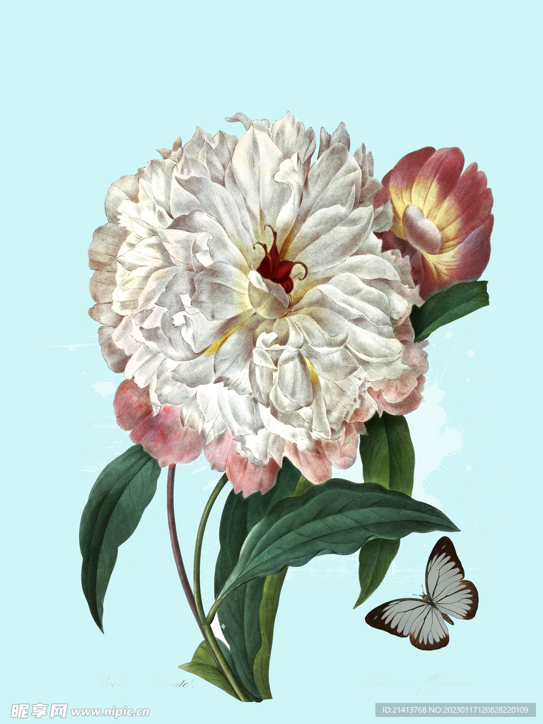 手绘水彩花卉 