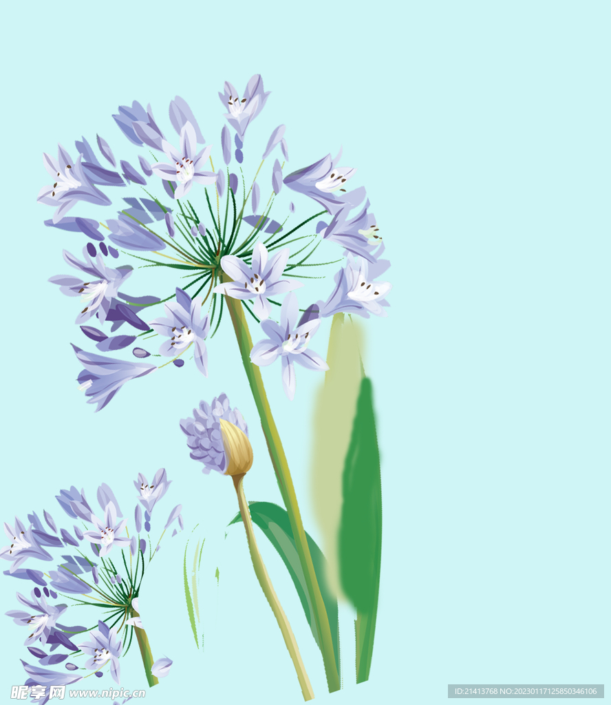 手绘水彩花卉