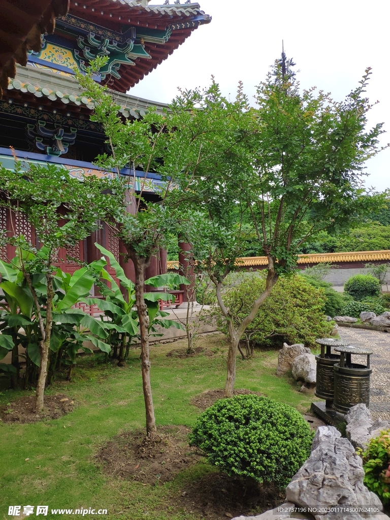 后花园
