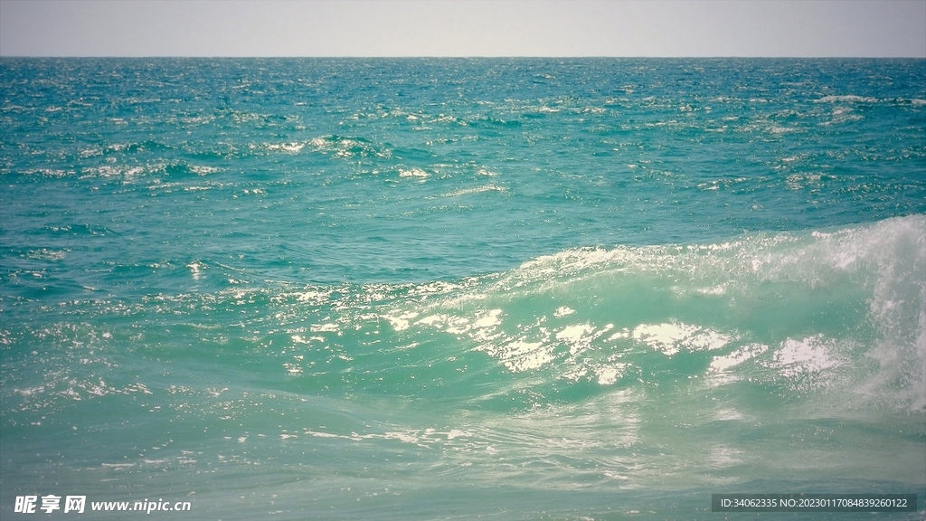 大海