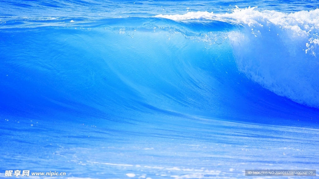 大海