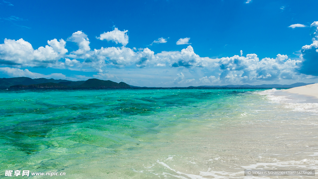 大海