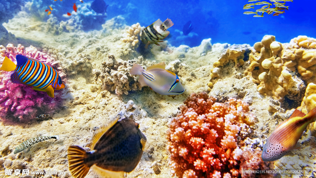 大海