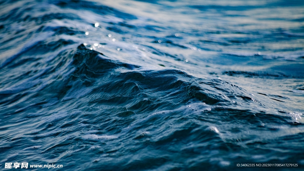 大海