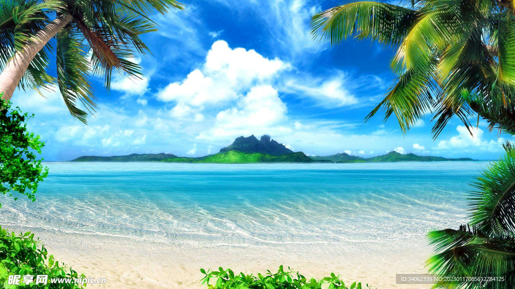 大海