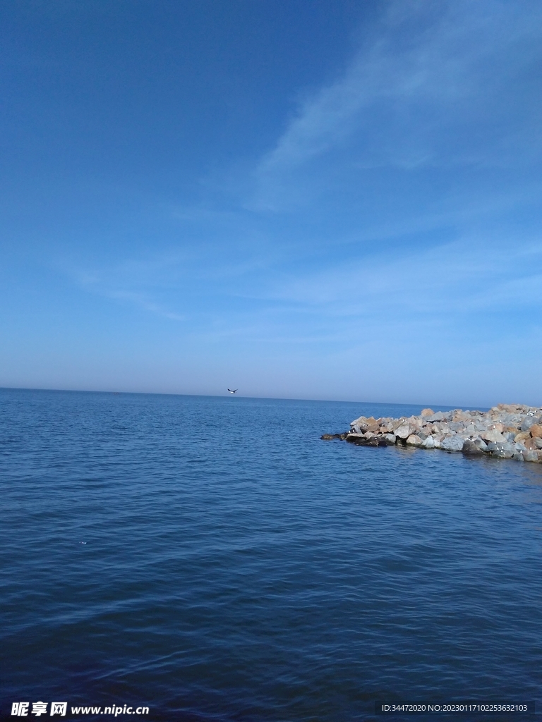龙口海边风景