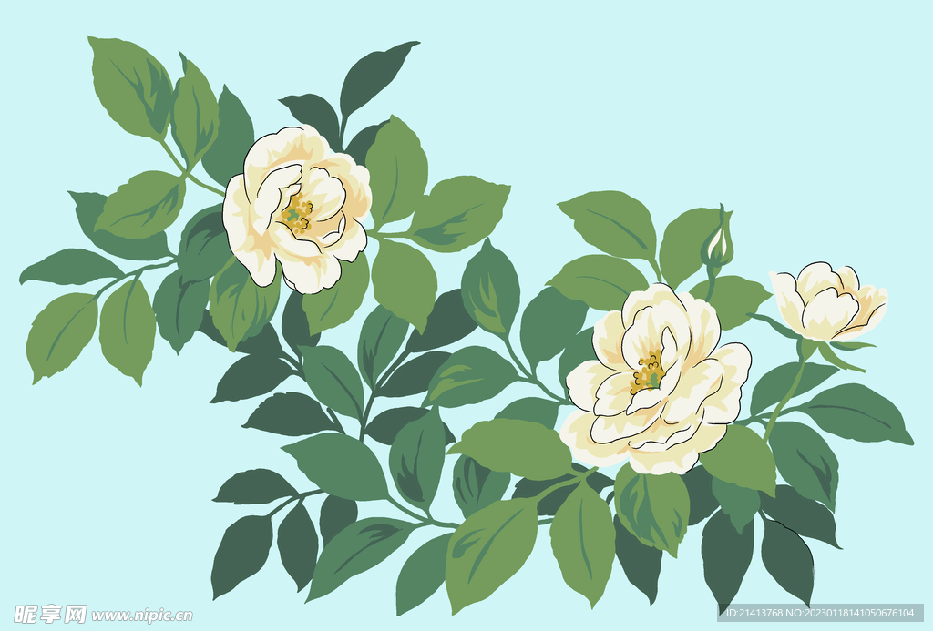 茶花 