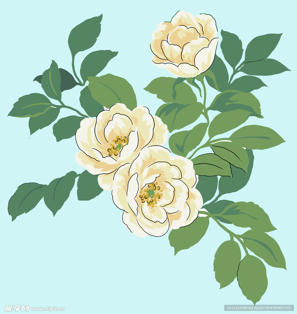 茶花 