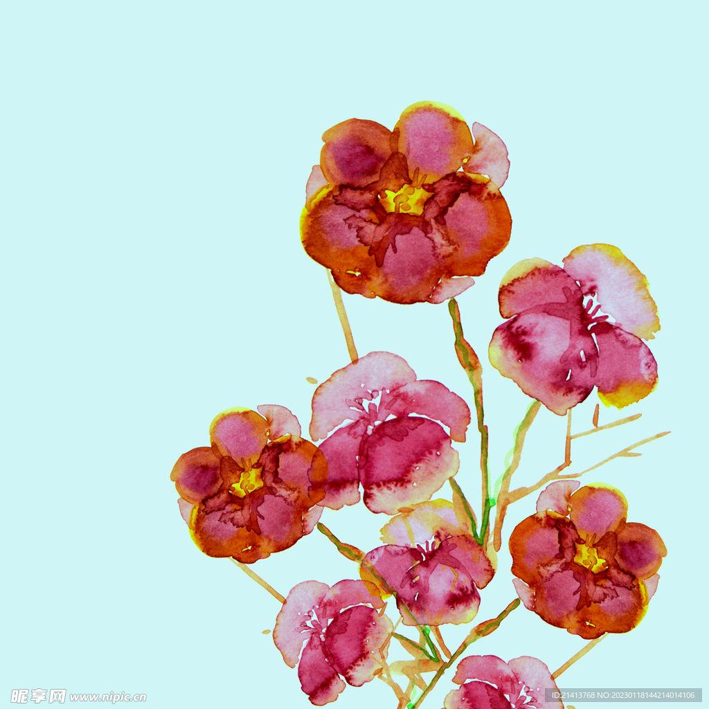 手绘水彩花卉 