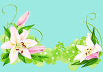 鲜花花朵花卉 