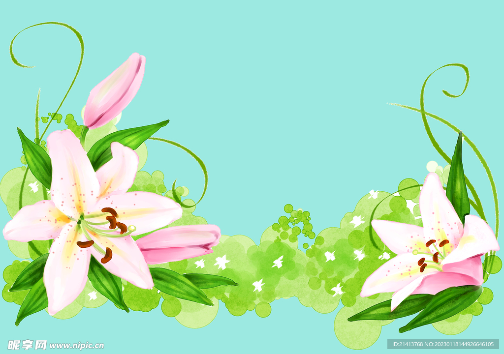 鲜花花朵花卉 