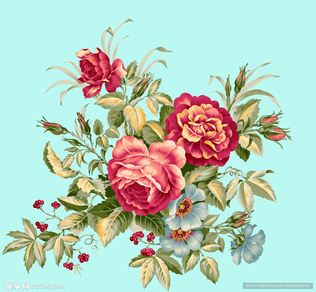 月季花朵花卉 