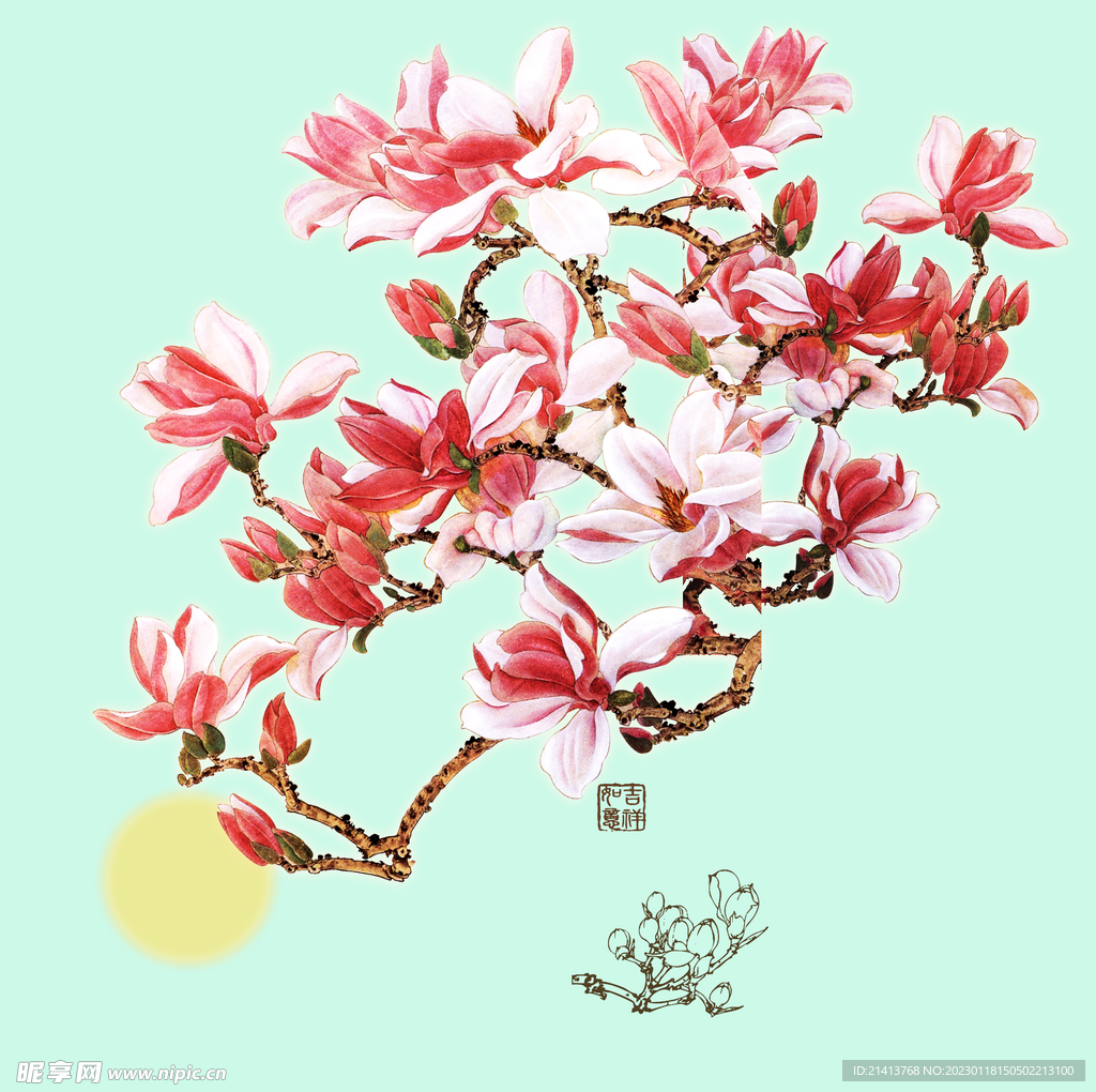 木棉花朵 