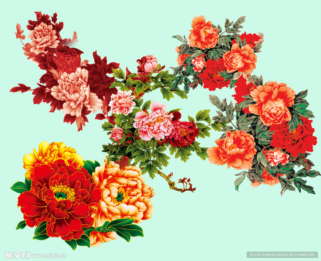 鲜花牡丹花 