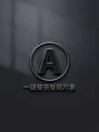样机