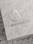 样机