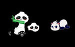 小熊 