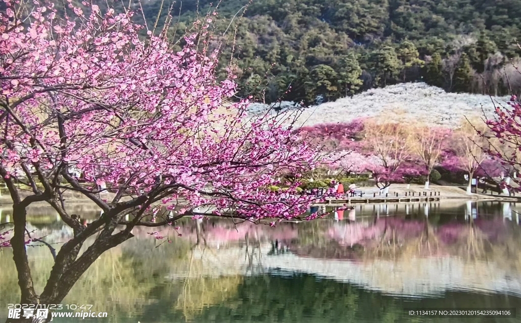 张家港香山