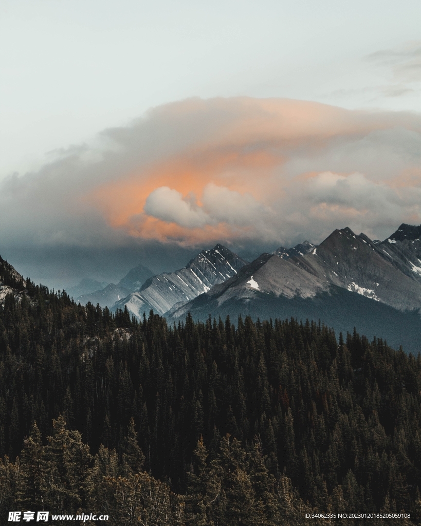 山