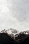 山