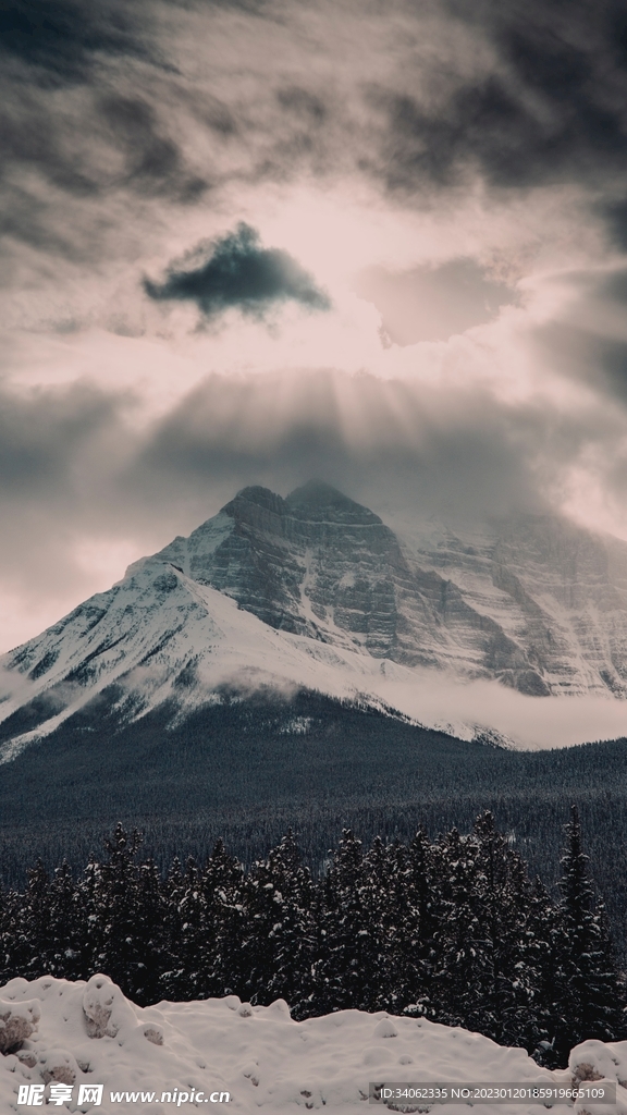 山