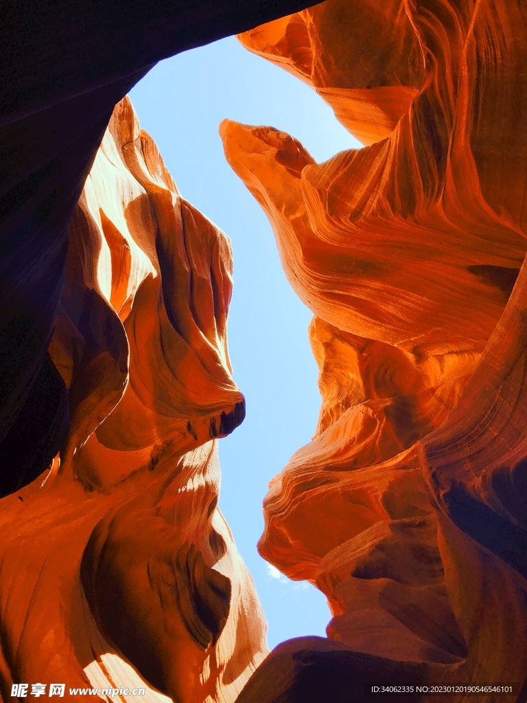 山