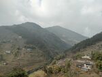 山