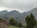 山