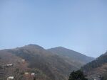 山
