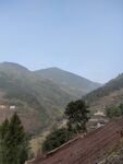 山