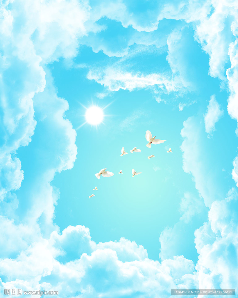 蓝天白云鸽子