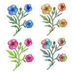 花