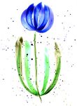 花