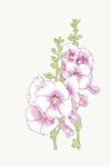 花