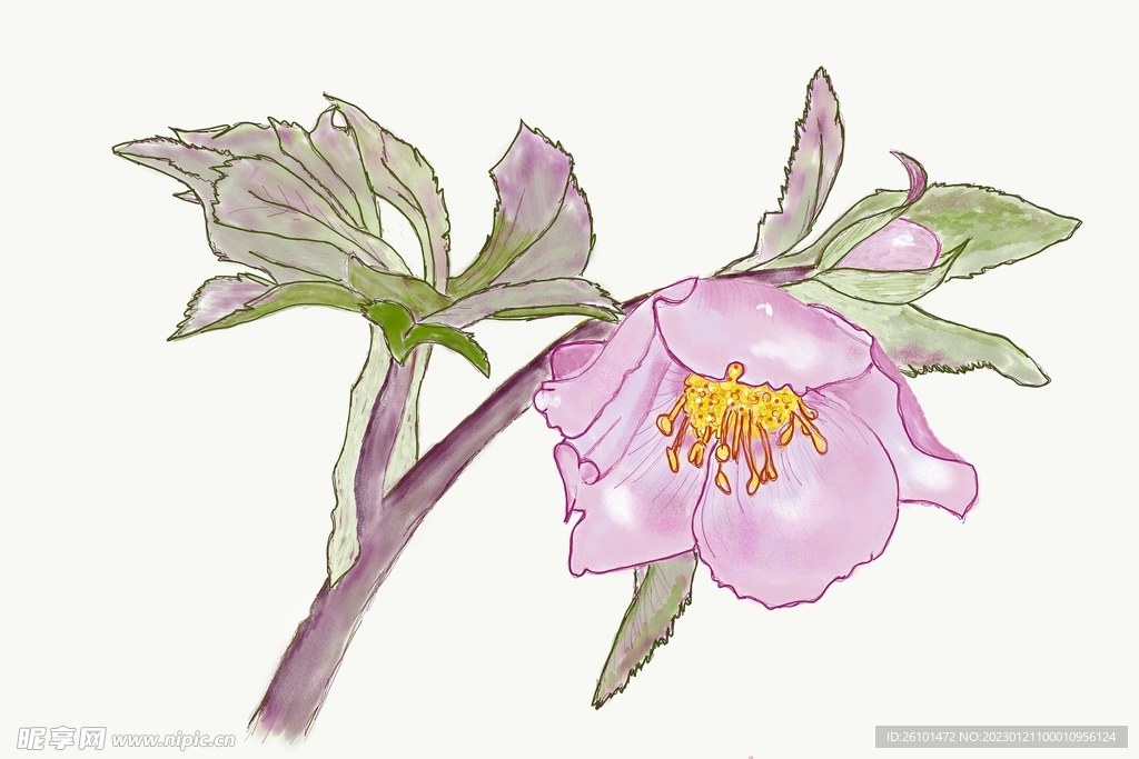 花