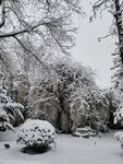 雪景