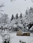 雪景