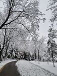 雪景