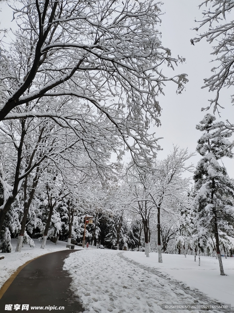 雪景