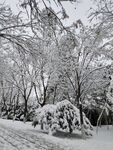 雪景