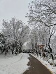 雪景