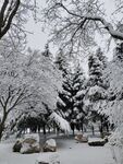 雪景